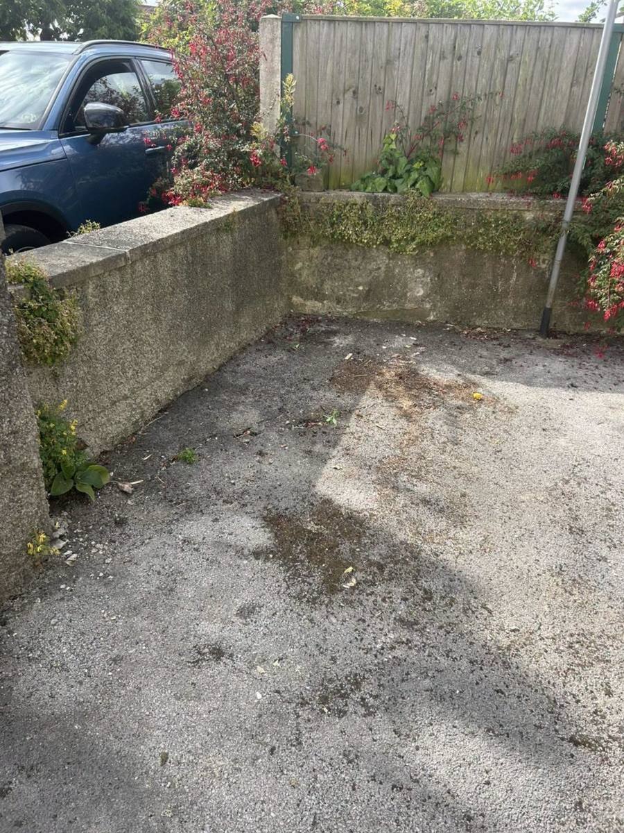 Yard corner cleared and empty, ready to use again